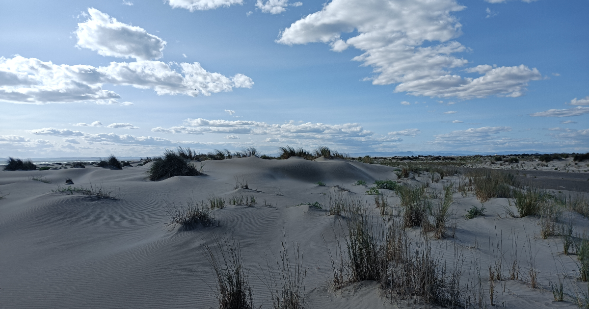 Blabla d'enfer ! : chapitre 6                                                       A un fil !