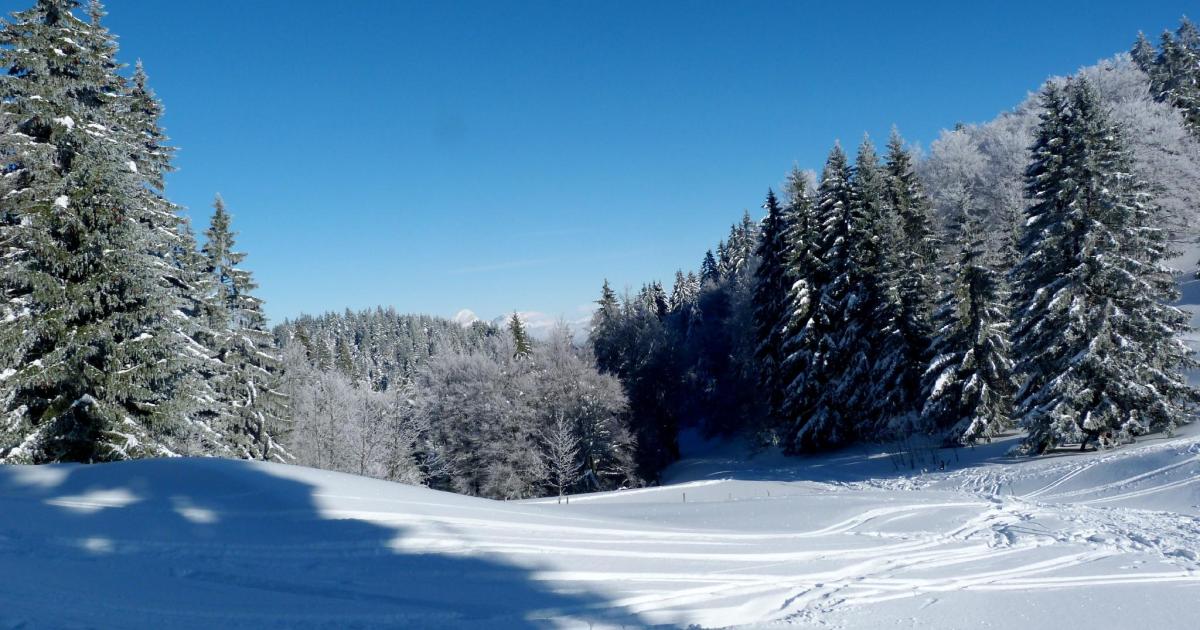 En Abondance, la rareté !