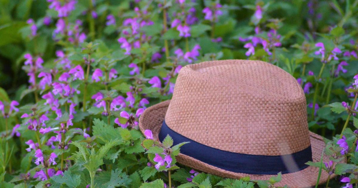 Mémé dans les orties