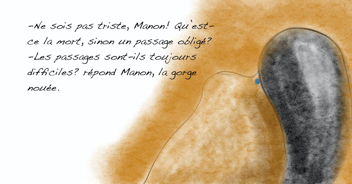 18. Clan Destin - Le troisième Larron