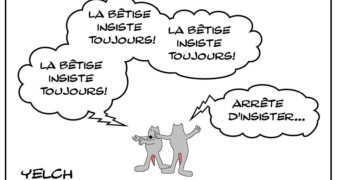 La bêtise insiste