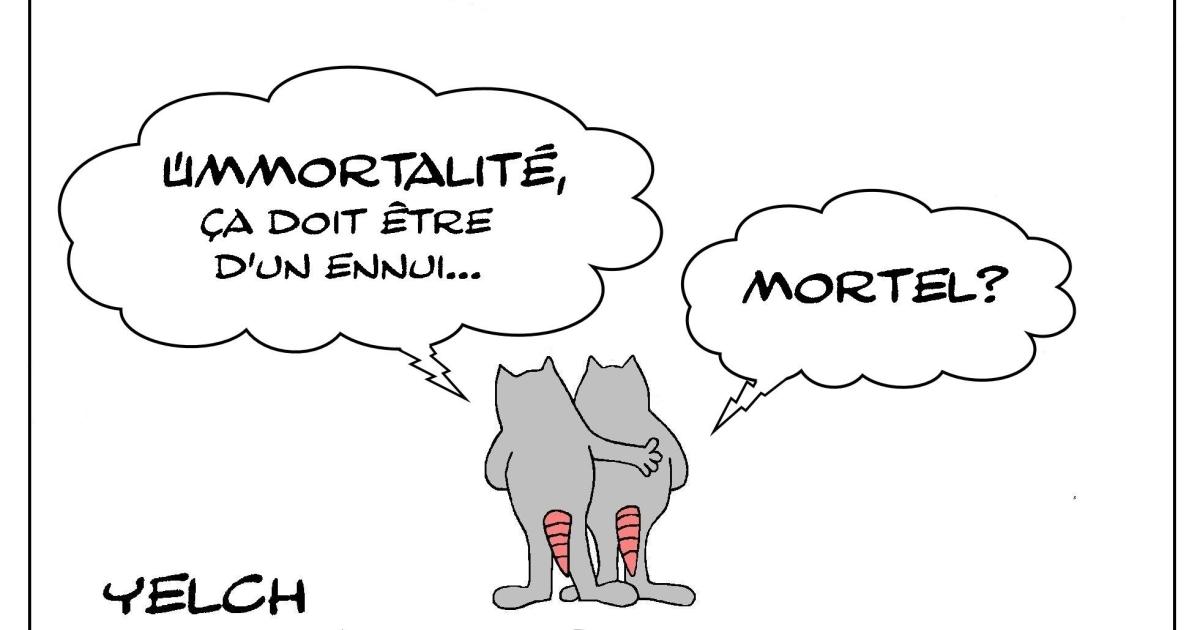 immortalité rasoire?