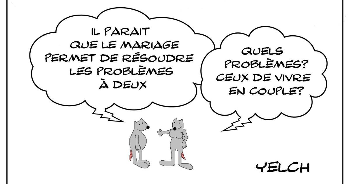 Le couple de rats et les problèmes à deux