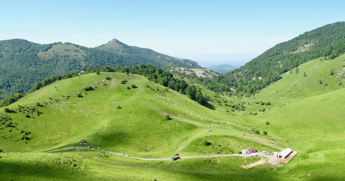 Züberoako artzangoa / Le système pastoral souletin