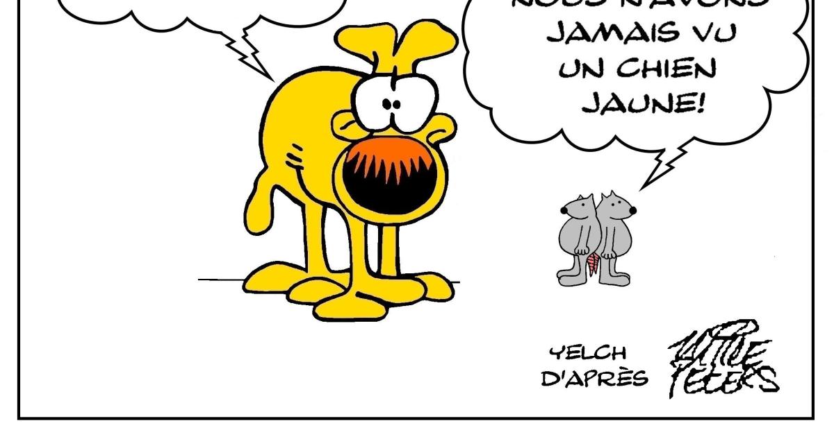 Le chien Grimmy rencontre les rats