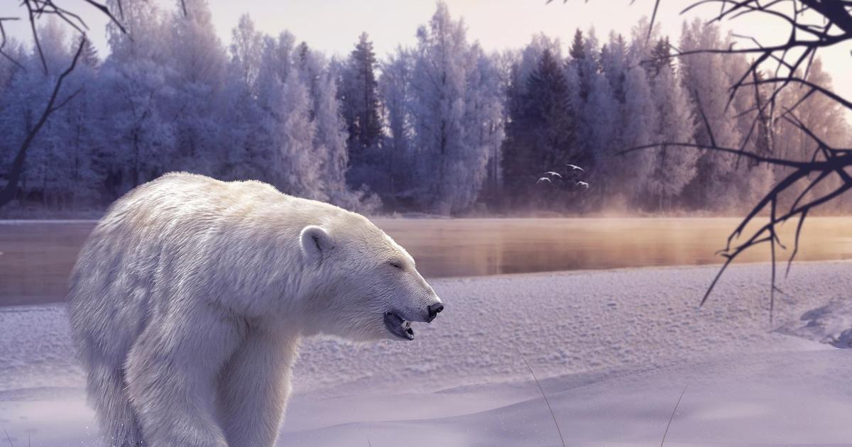 Le clou du spectacle !