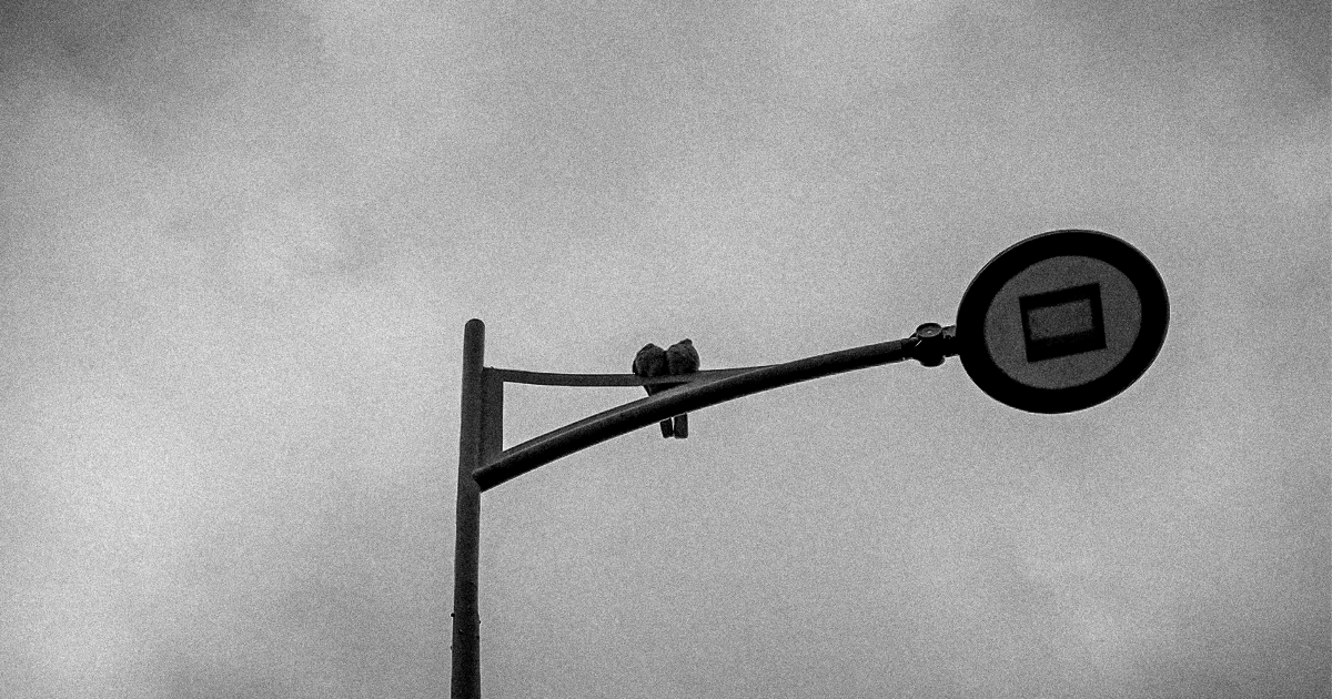 s’enfemmer (v. impers.)
