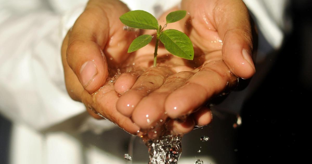 Et PIFF ! L'entraide.