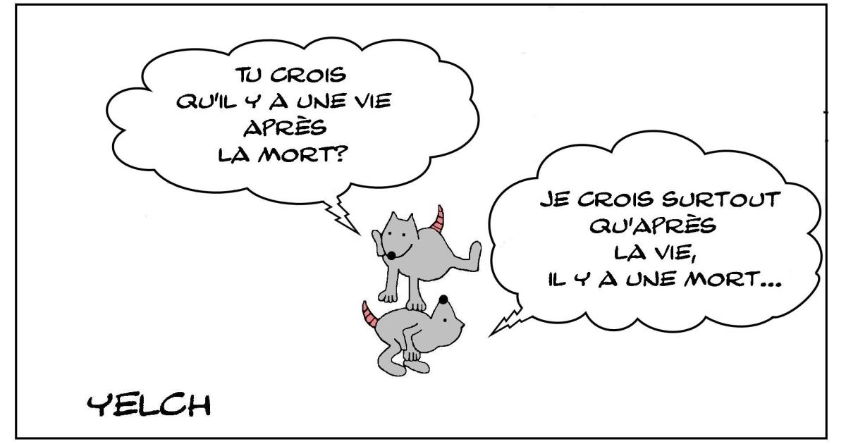 après la vie , la mort et après la mort...