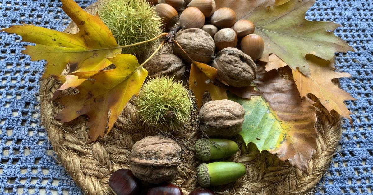 Le jardin du 6 Octobre avec François Coppée