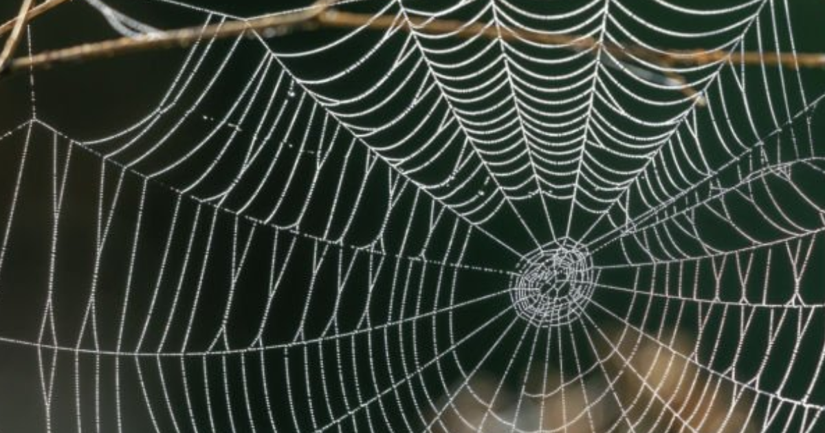 Le consensus tyrannique