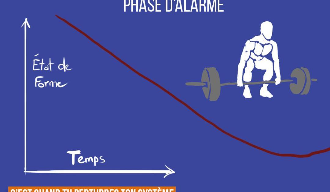 Les 3 phases du stress