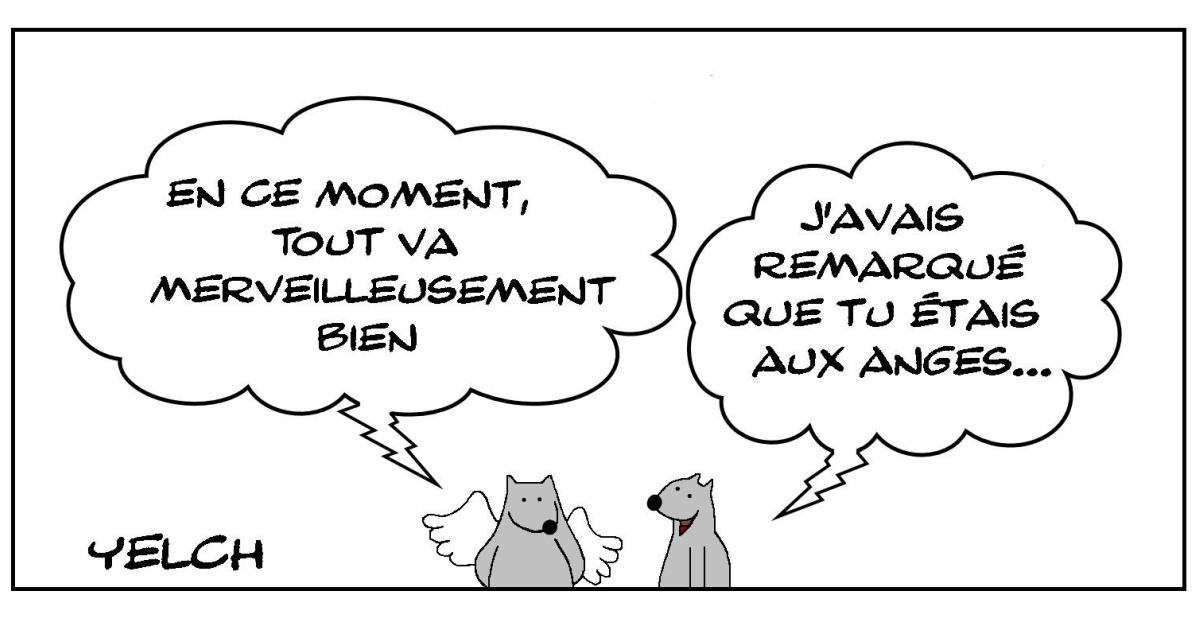 Le rat qui était aux anges