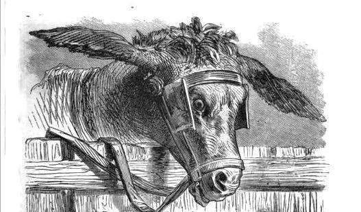 Le jardin du 18 Novembre