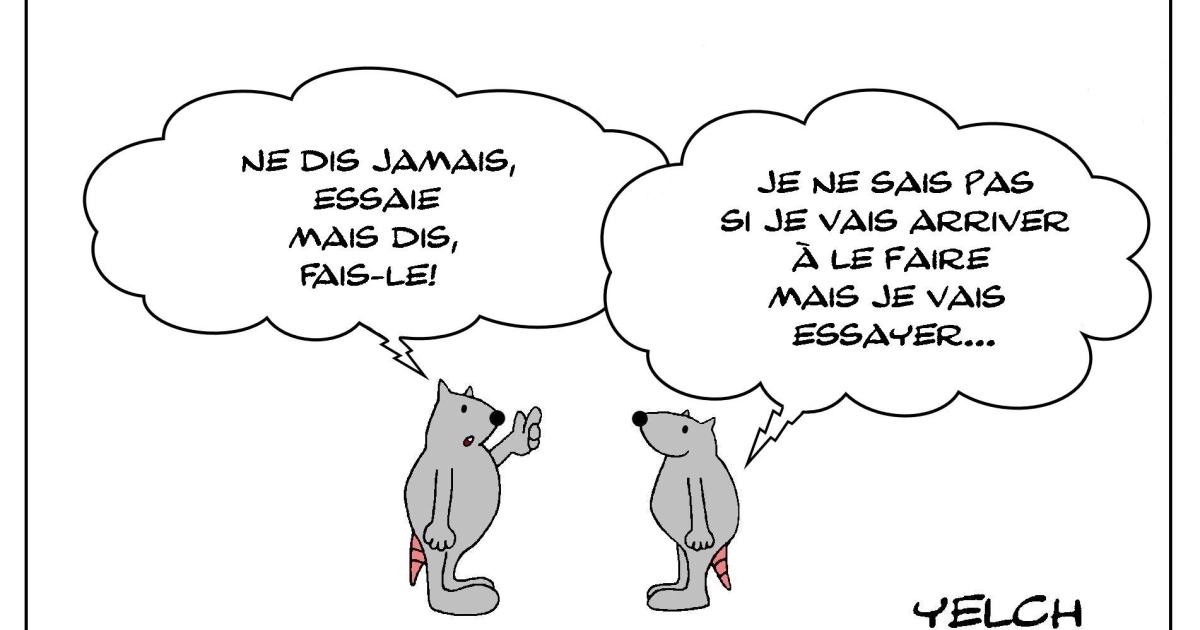 ne pas essayer mais ...faire