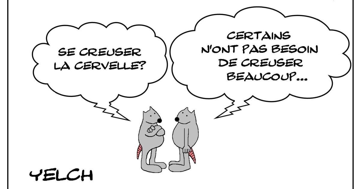 Le rat et la cervelle creuse