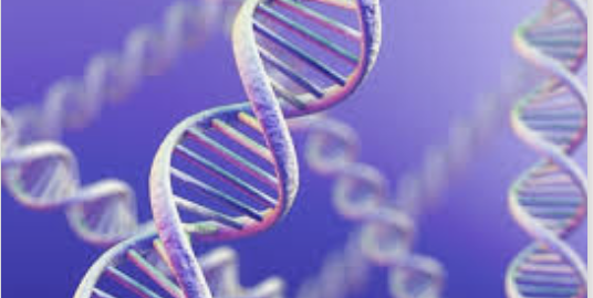 T..hérapie génique