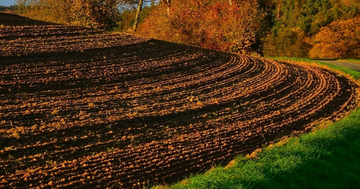 Feuillet d'avril : sillon, outils et semailles
