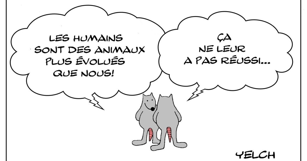 Humains évolués (?) 