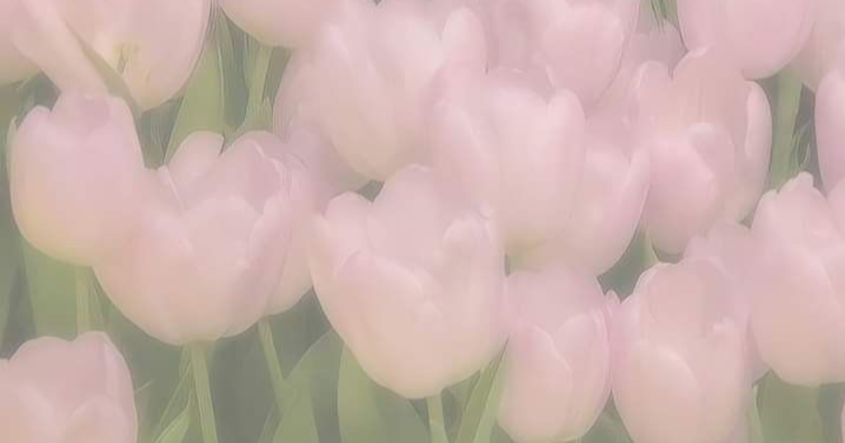 Et vous, que pensez-vous de 𝘭'𝘈𝘳𝘵 𝘥𝘦𝘴 𝘮𝘰𝘵𝘴?