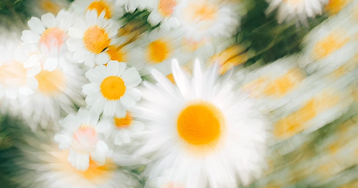 Strumenti di contrasto alle fake news nel periodo del Covid-19