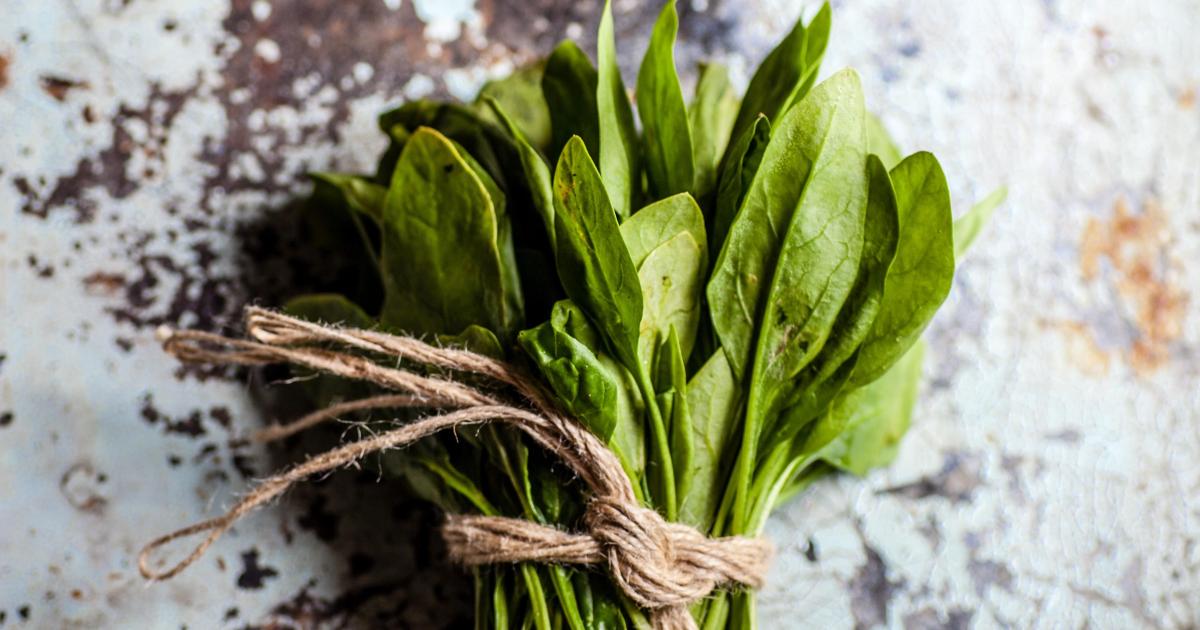 Frittata épinards champignons poivron