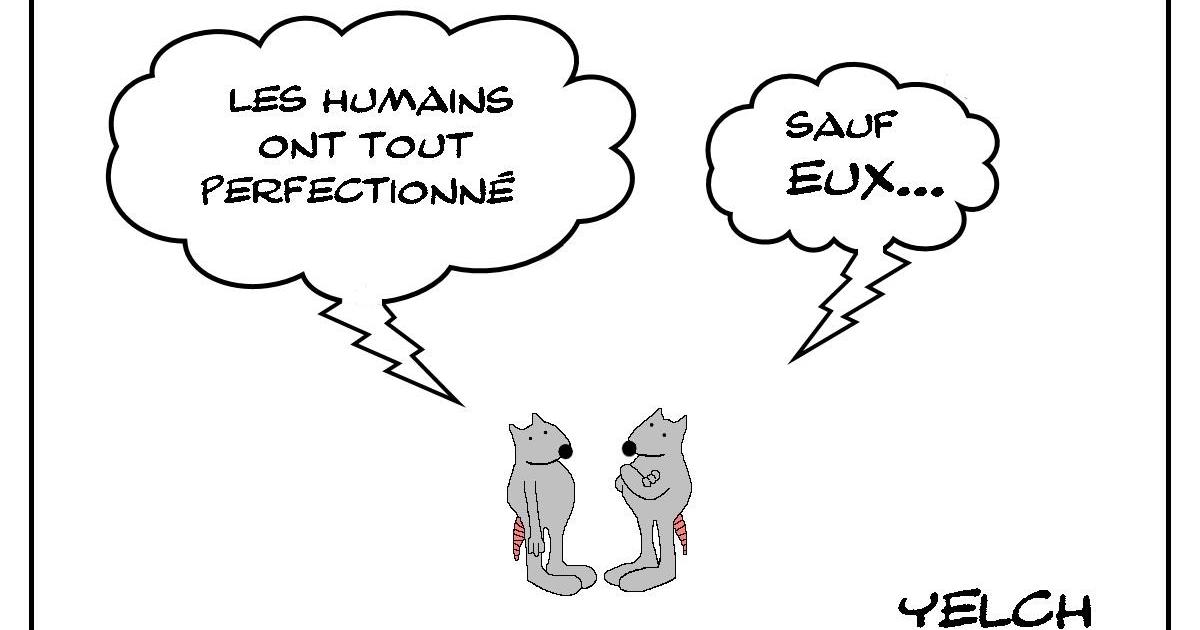 Perfection certainement pas humaine