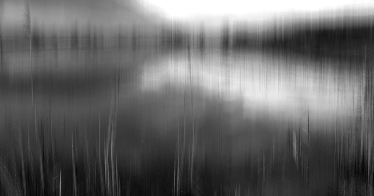 Mini expo photo 12 : Le marais de Lavours