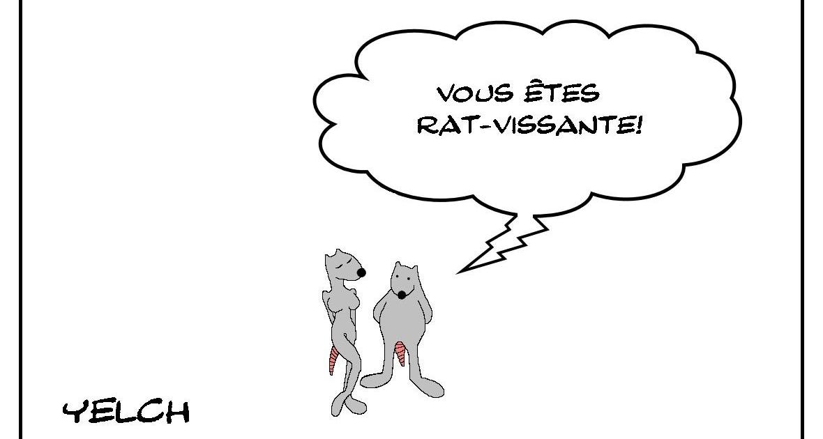 Rat-vissante