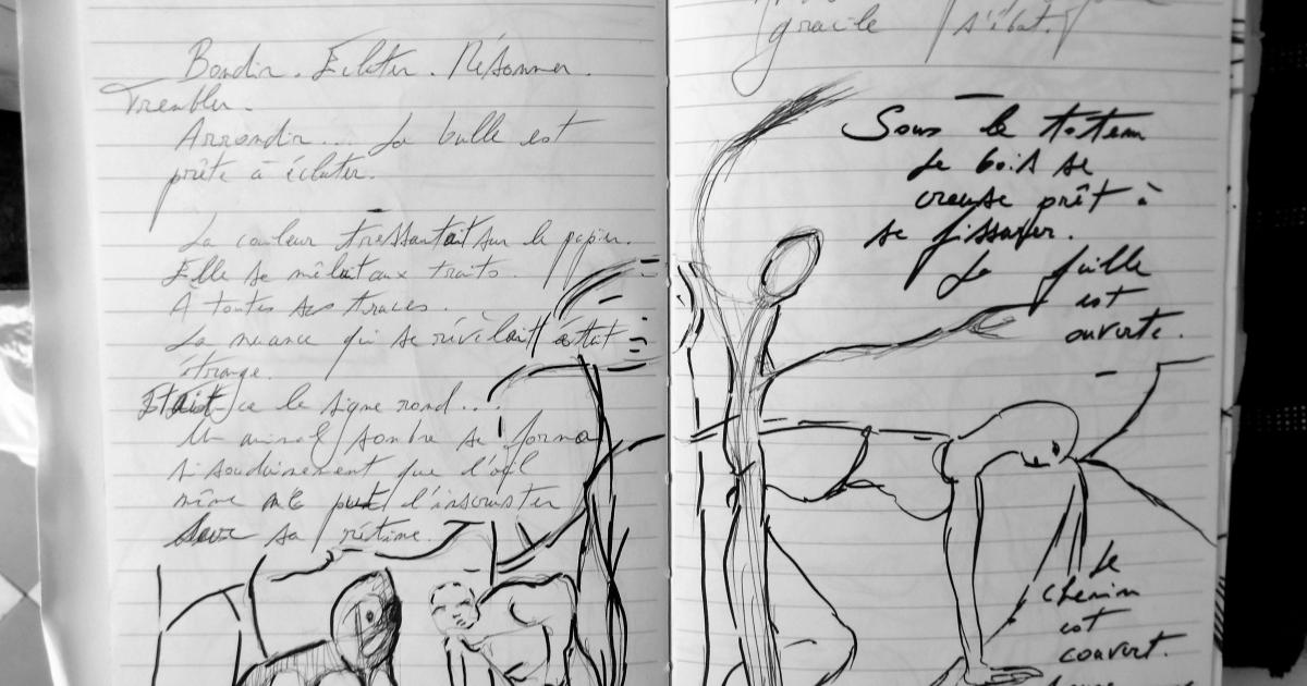 Petits Papiers Volants : Journal D'écriture 2003-2018 - Jeudi 11 janvier 2018