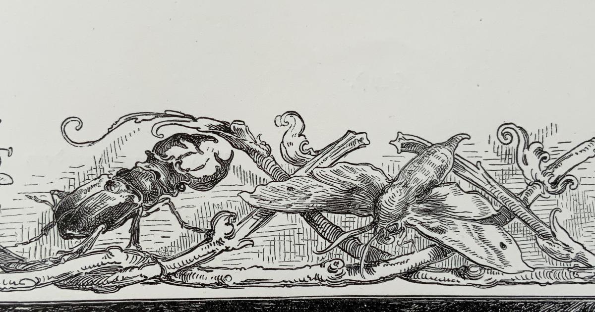 Le jardin du 25 Août