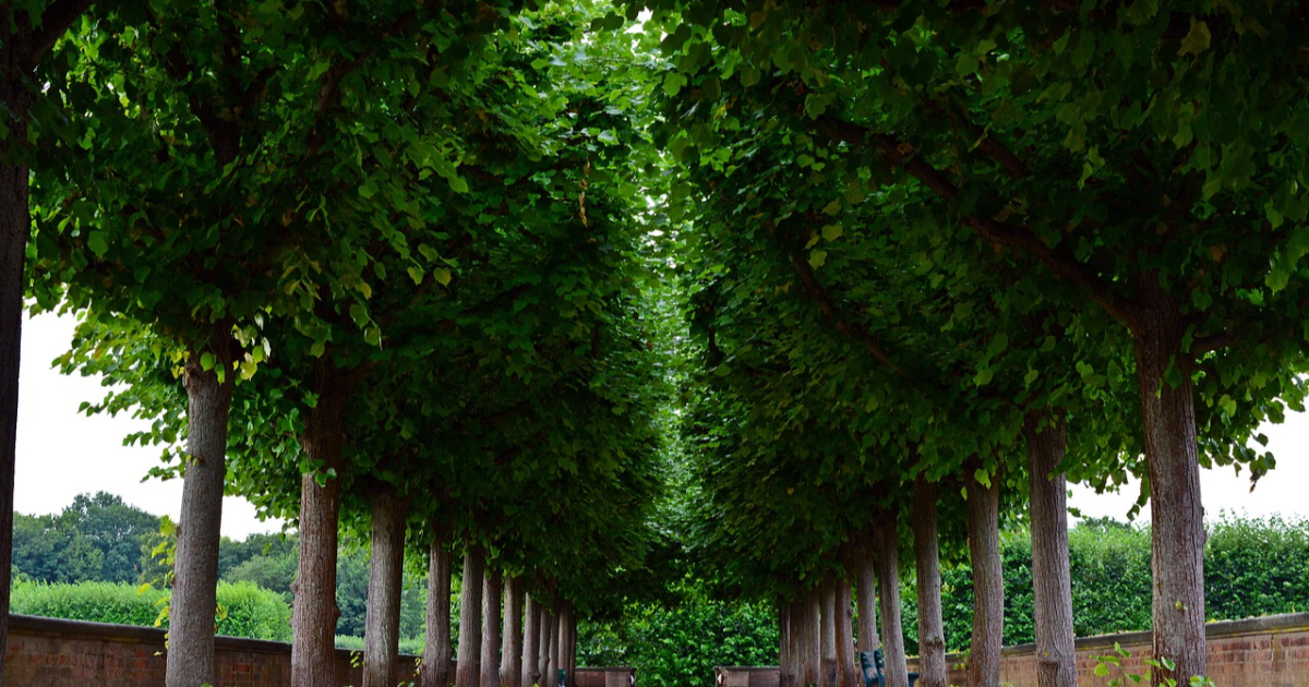 Épisode 21 - Une révélation douloureuse