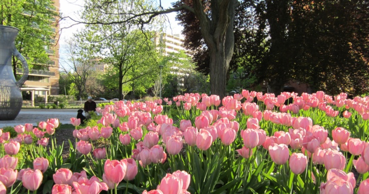 𝘕𝘦𝘷𝘦𝘳 𝘍𝘰𝘳𝘨𝘦𝘵 𝘛𝘩𝘢𝘵.