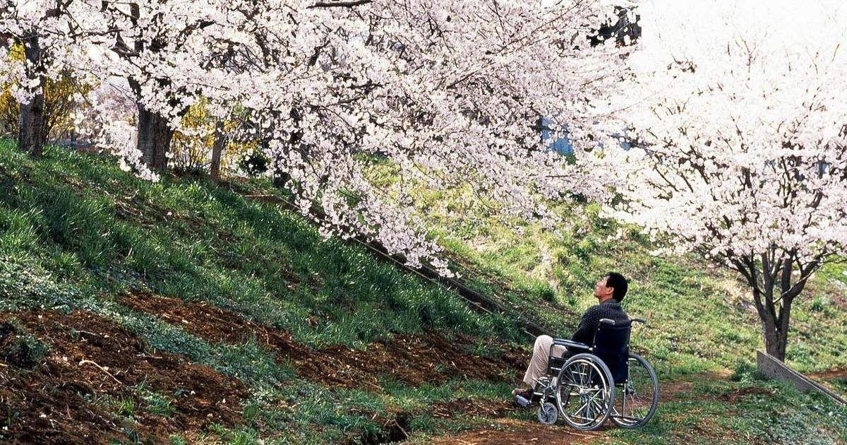 Hana-Bi (Takeshi Kitano, 1997)