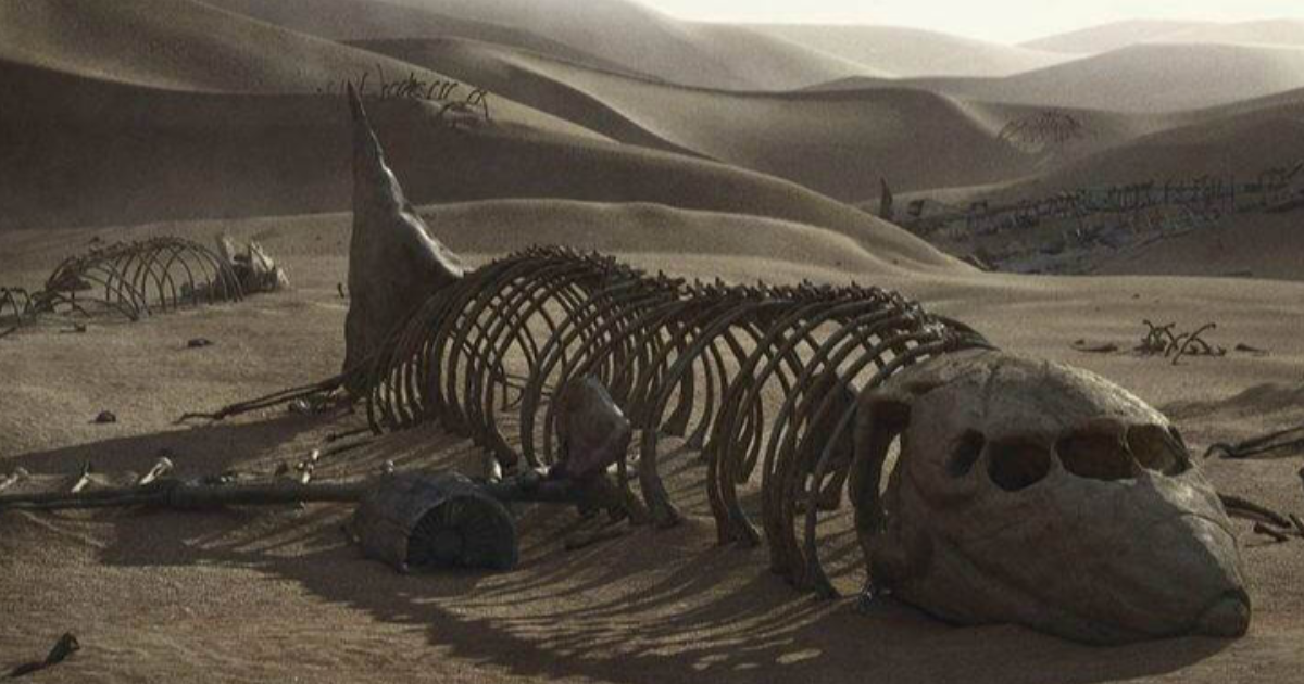 La Panne (carnet de bord d’un burn-out)