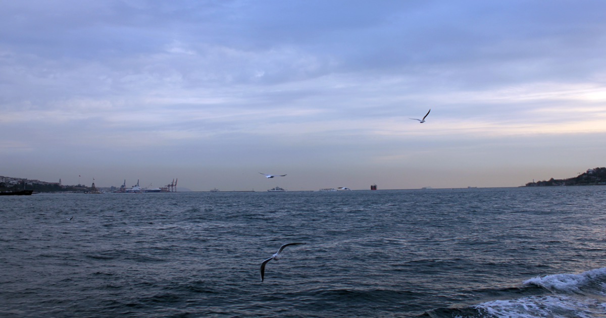 SELENA AU BORD DE L'EAU