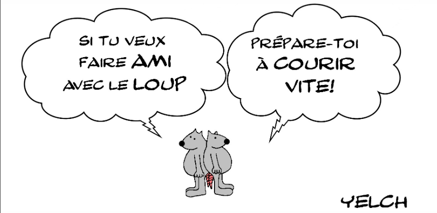 SI TU VEUX FAIRE AMI AVEC LE LOUP