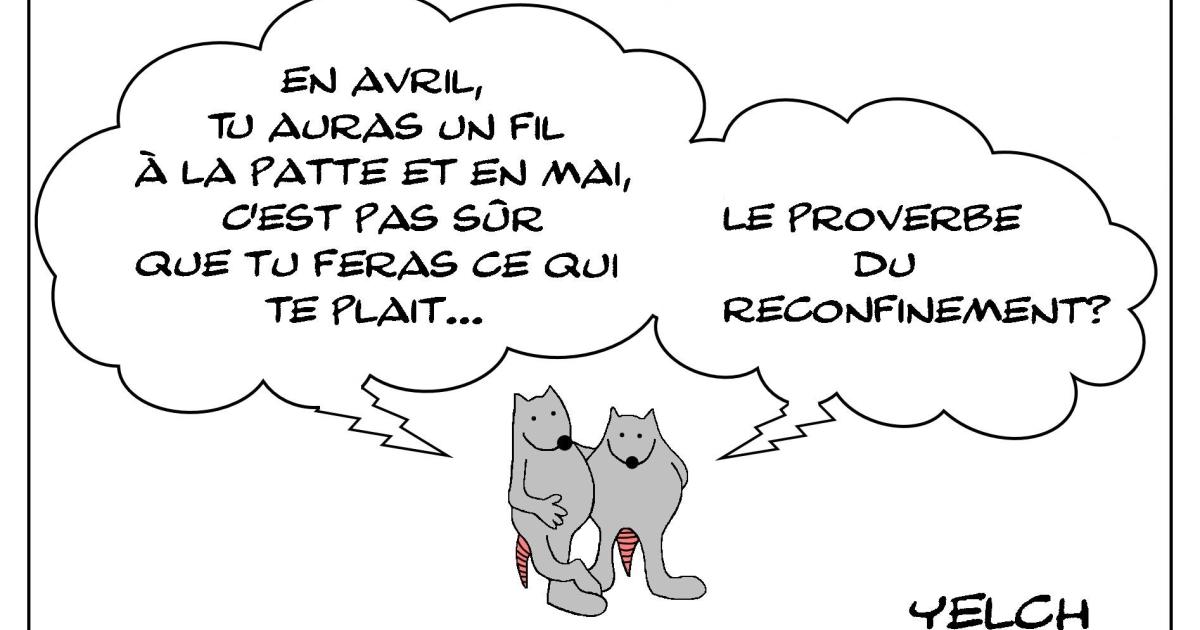 Les rats qui parlaient du nouveau reconfinement