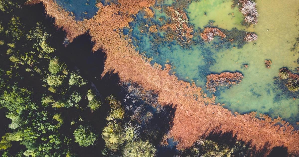 L'écosystème et l'entropie