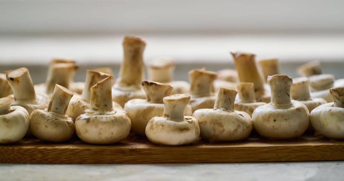 Paupiettes de dinde à la crème, aux champignons et lardons