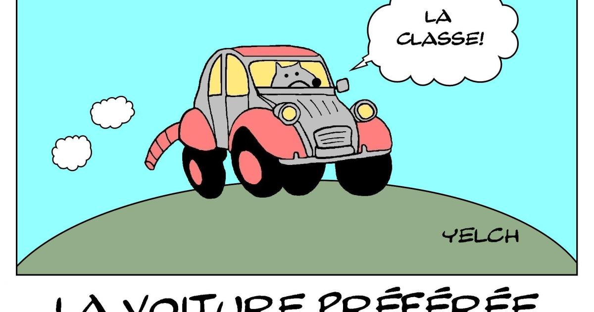 La voiture préférée des rats