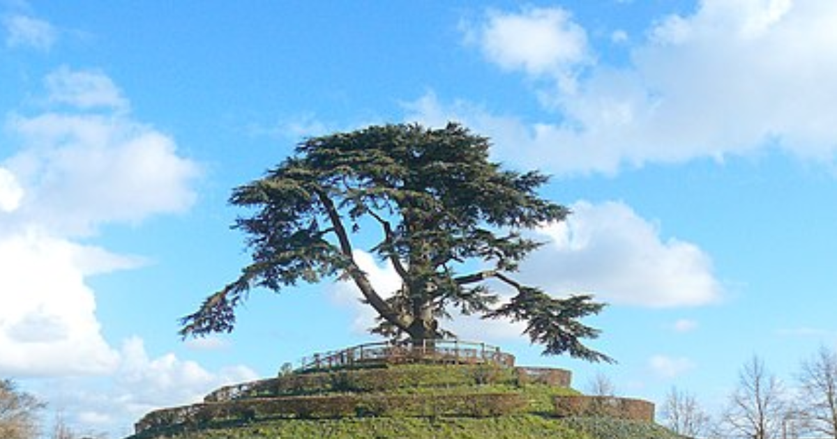 Juillet - 3