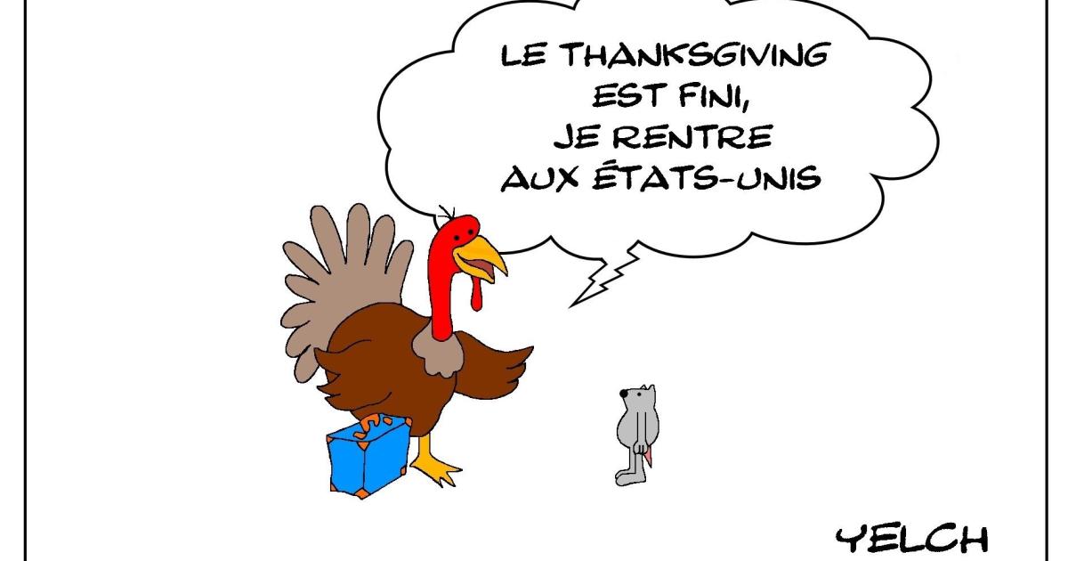 Certaines n'apprécient pas thanksgiving