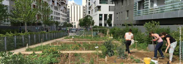 Les communs urbains : de quoi parle-t-on au juste ?