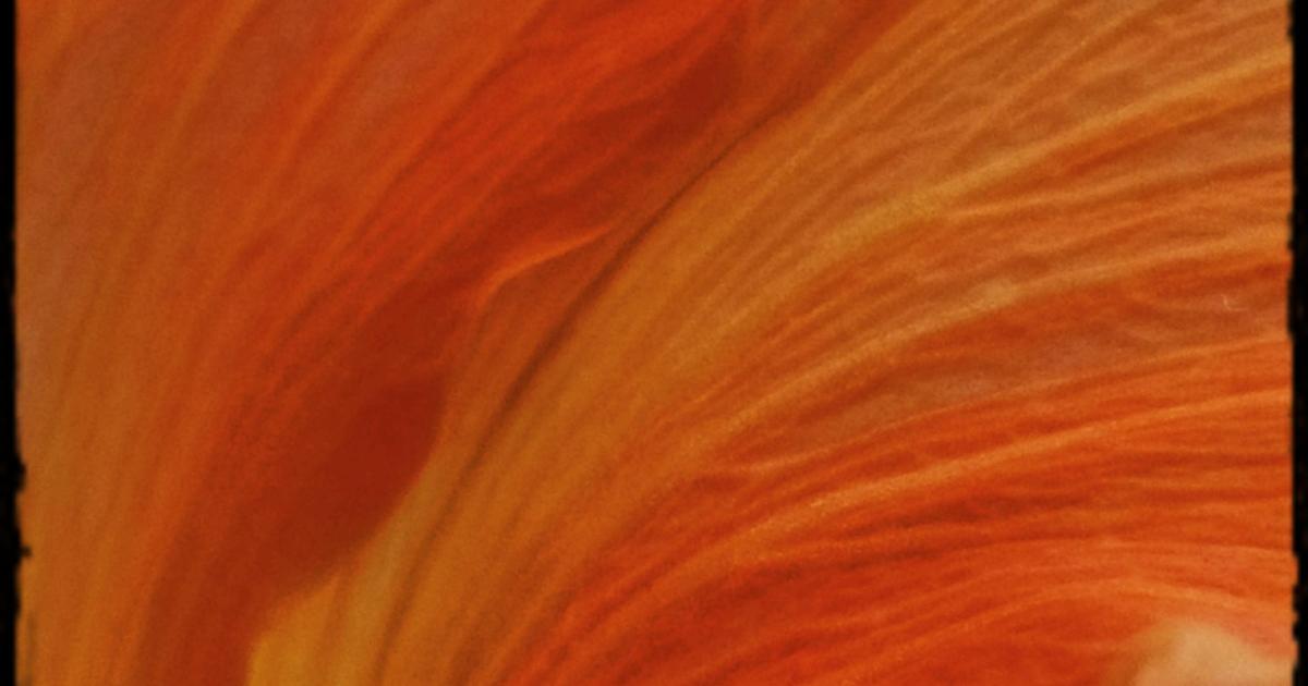 Lettre à Toi que je quitte