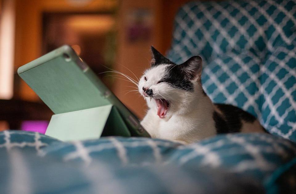 La chasse aux informations