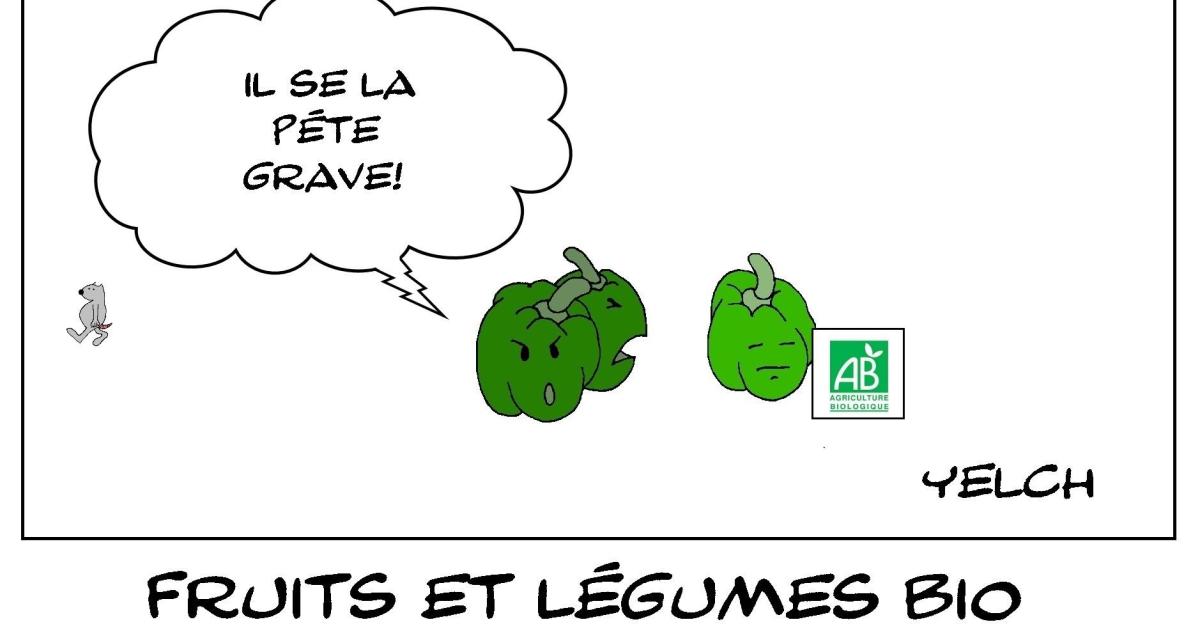 Légumes bio prout-prouts