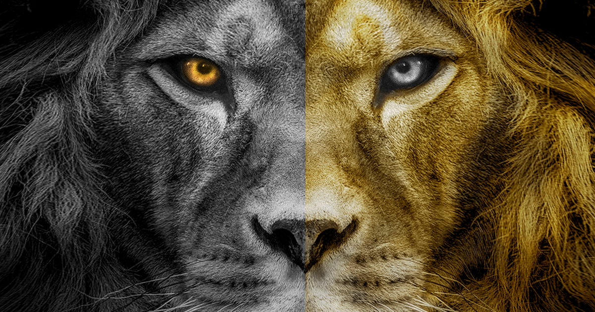 59. La Légende de Nil. Jean-Marc Ferry. Livre II, L'Utopie de Mohên. Chapitre X,2,3