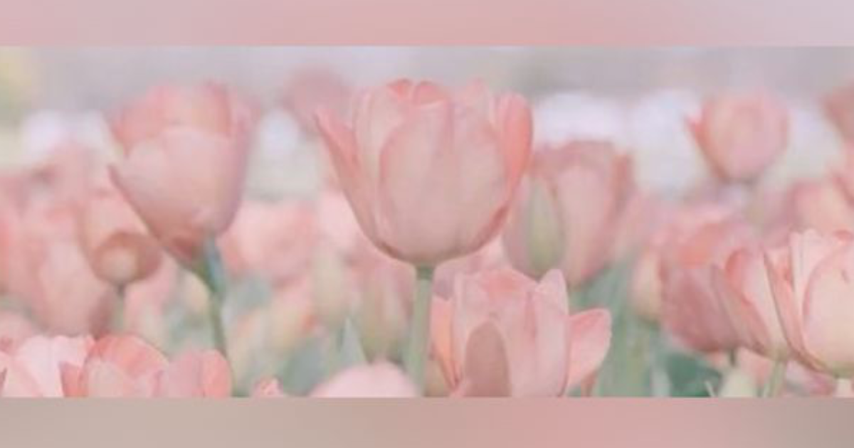 𝘗𝘦𝘯𝘴𝘦𝘻-𝘷𝘰𝘶𝘴 𝘲𝘶𝘦 𝘱𝘢𝘳𝘥𝘰𝘯𝘯𝘦𝘳, 𝘤'𝘦𝘴𝘵 ê𝘵𝘳𝘦 𝘧𝘢𝘪𝘣𝘭𝘦?