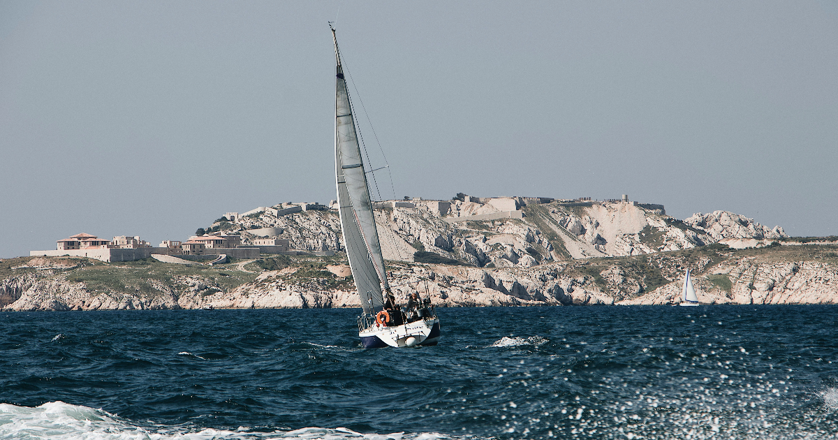Des orques à Marseille !